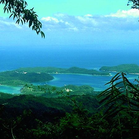 Bamboo Beach Resort Пуэрто-Галера Экстерьер фото